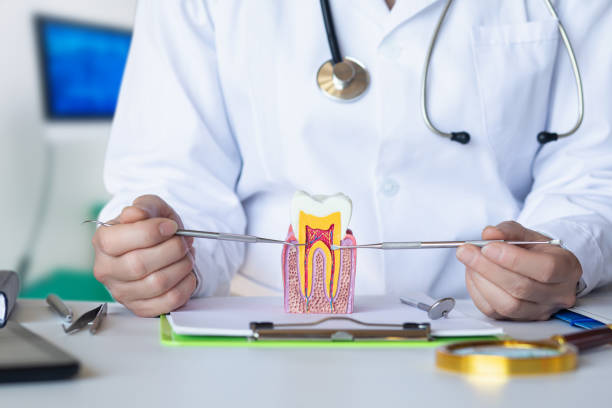 Best Orthodontic Emergency Dentist in Burke, VA